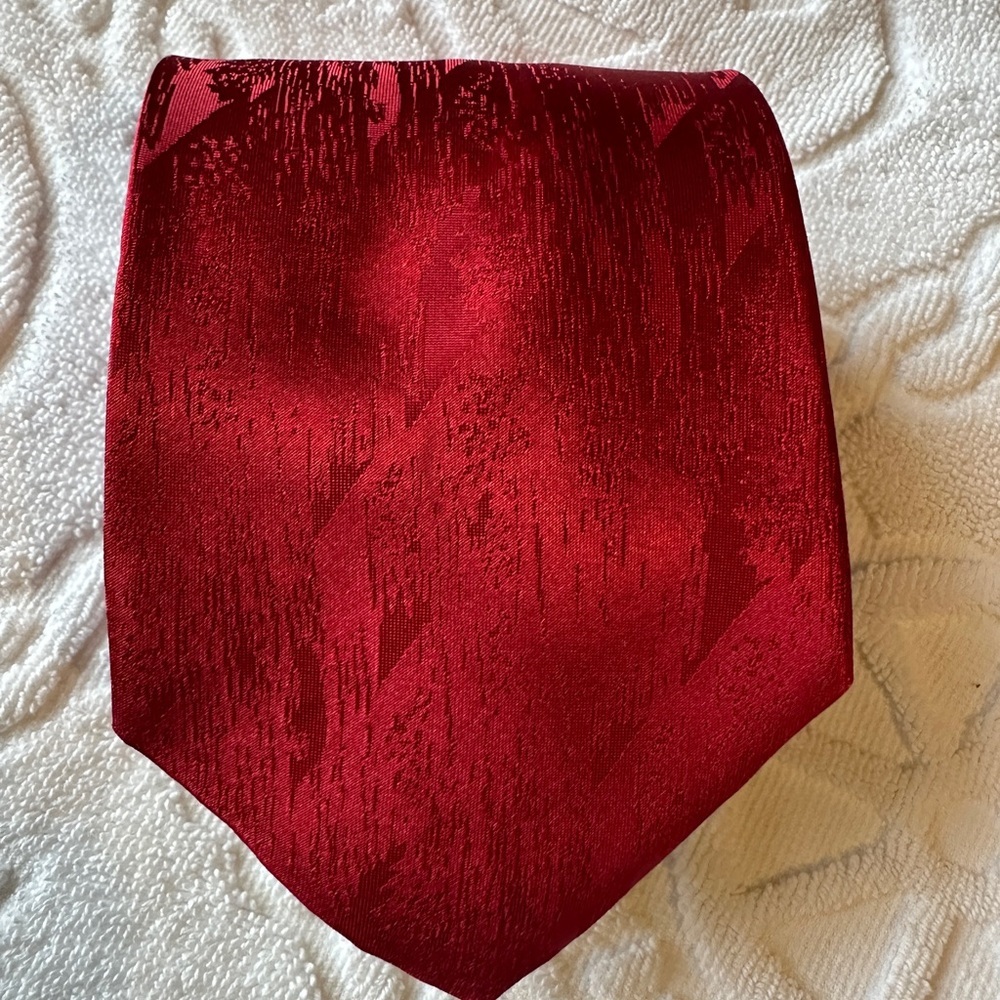 Elegant Red Tie by David Taylor